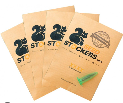 STOCKERS SEEDS CBD 1:1 SILVER LIME HAZE AUTO 3 unidades