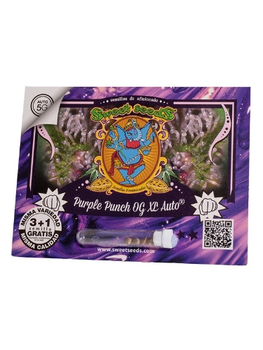 SWEET SEEDS PURPLE PUNCH OG XL AUTO X3+1