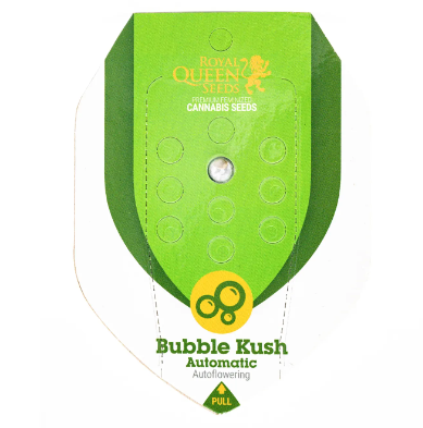 ROYAL QUEEN SEEDS AUTO BUBBLE KUSH 1UNID