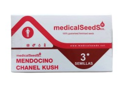MEDICAL SEEDS MENDOCINO CHANEL KUSH 3 UN
