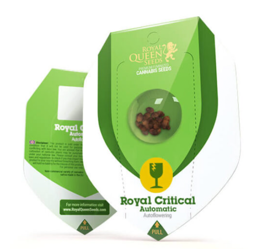 ROYAL CRITICAL AUTO 3 UNID - ROYAL QUEEN SEEDS
