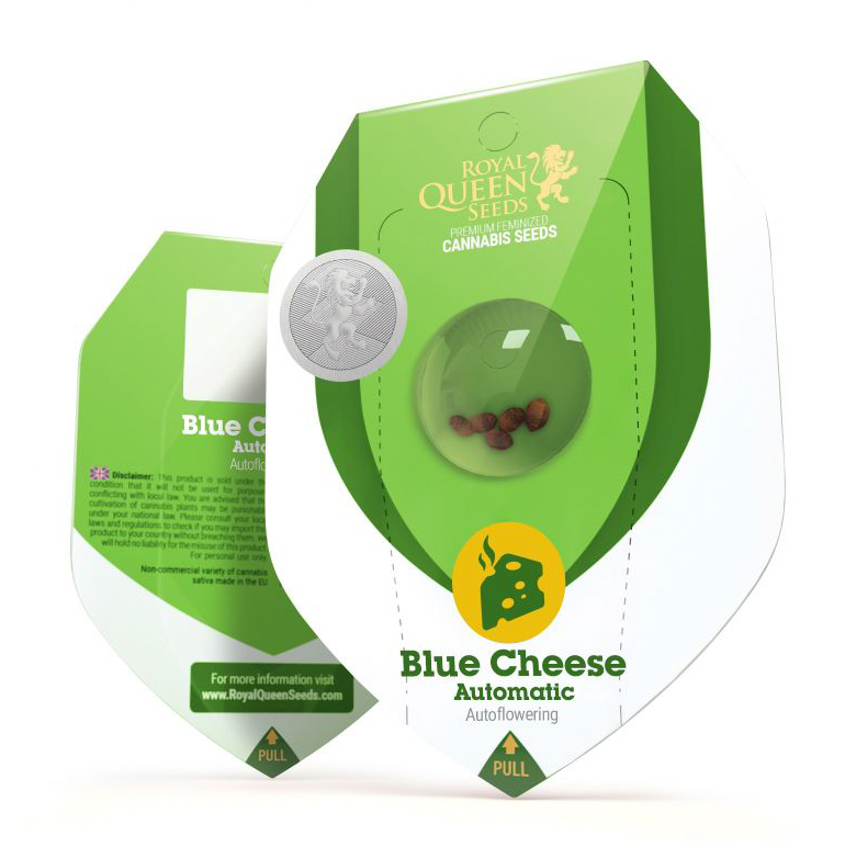 ROYAL QUEEN SEEDS AUTO BLUE CHEES 3UNI