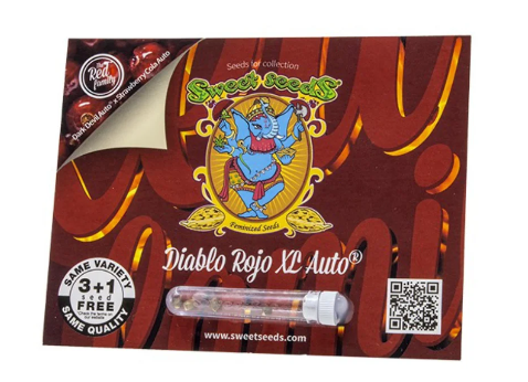 SWEET SEEDS DIABLO ROJO AUTO XL 3+1