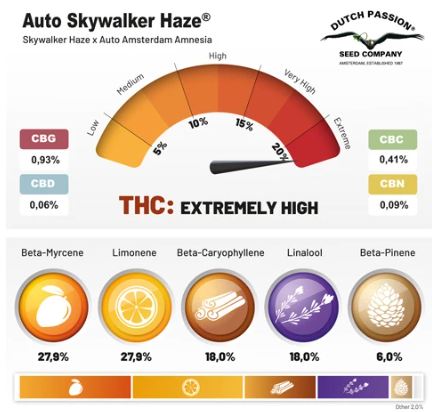 DUTCH PASSION SKYWALKER HAZE AUTO X3