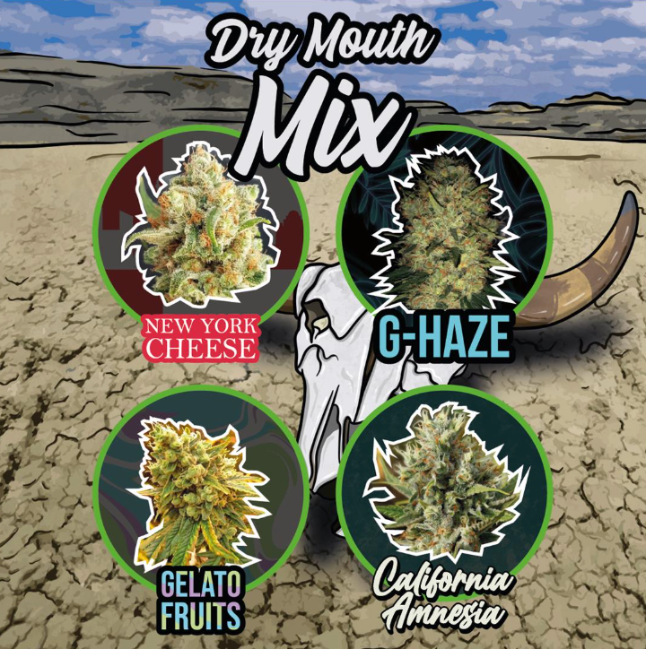 DELIRIUM SEEDS MIX DRY MOUTH LINE X14 AUTO