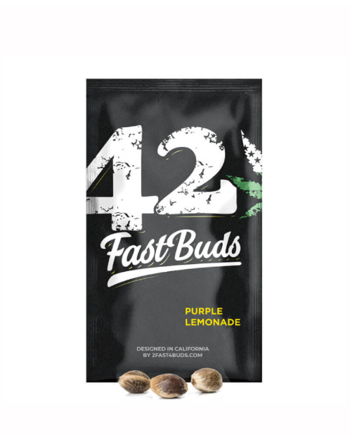 FAST BUD PURPLE LEMONADE AUTO 1 unid