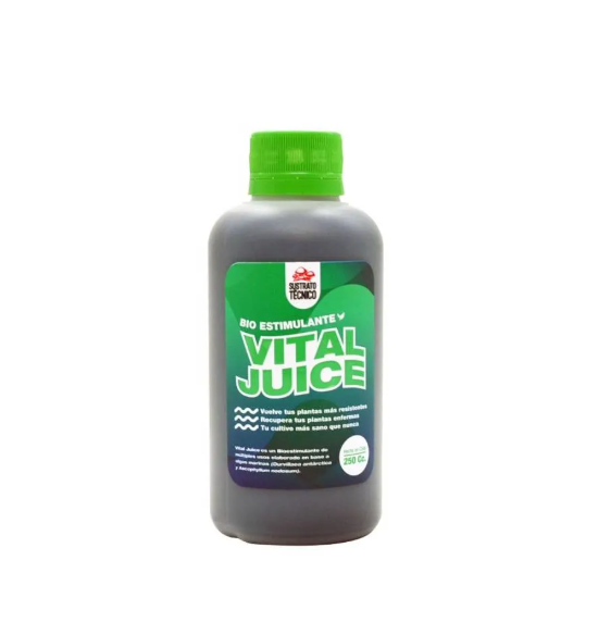 VITAL JUICE 250 ML