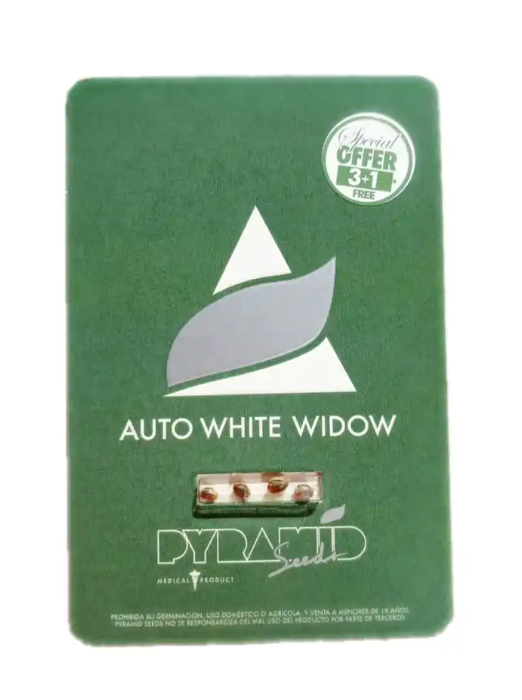 PYRAMID SEEDS AUTO WHITE WIDOW 1 UNID