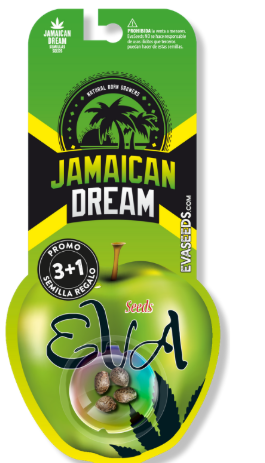 EVA SEEDS JAMAICAN DREAM FEM 3+1 UN