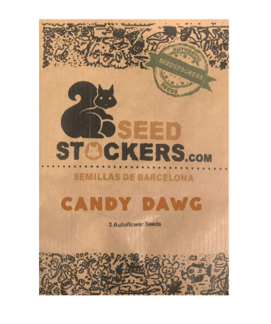SEED STOCKERS AUTO CANDY DAWG 3 UN