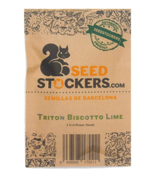 SEED STOCKERS AUTO TRITON BISCOTTO LIME 3 UN