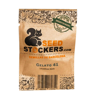 SEED STOCKERS AUTO GELATO 41