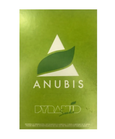 PYRAMID SEEDS ANUBIS FEM 3+1 UNI