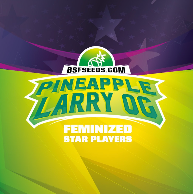 Star Player Pineapple Larry - Bsf Seeds
