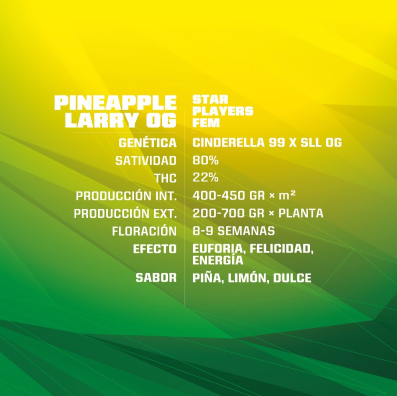 Star Player Pineapple Larry - Bsf Seeds