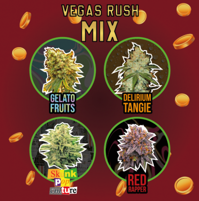 DELIRIUM SEEDS VEGAS RUSH MIX FEM x 4