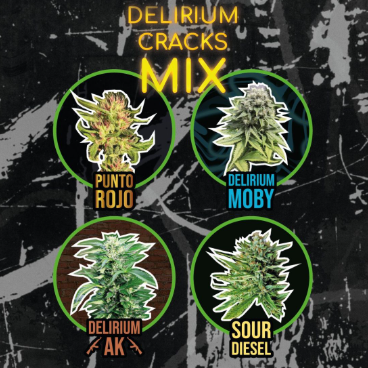 DELIRIUM SEEDS FAST VERSION DELIRIUM CRACKS MIX X4