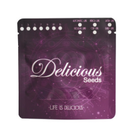 Delicious Seeds Critical Neville Haze Auto 3 unid