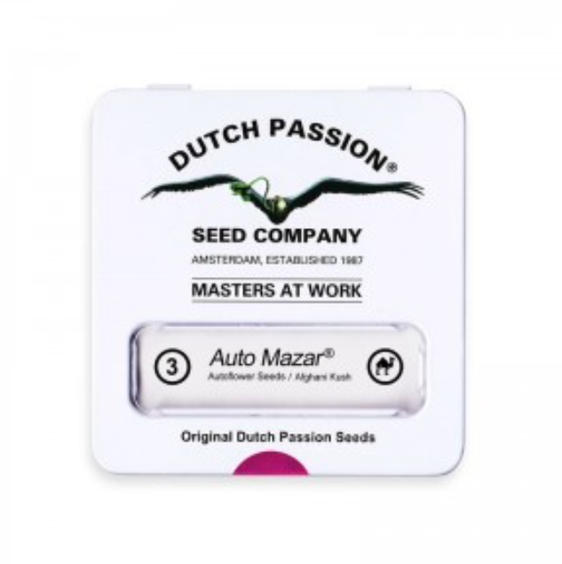 DUTCH PASSION MAZAR AUTO 3unid