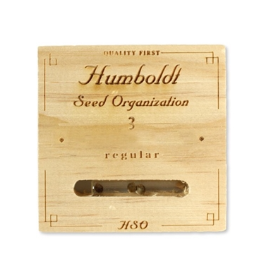 HUMBOLDT SEEDS PINEAPPLE SKUNK FEM