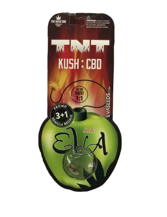 EVA SEEDS TNT KUSH FEM 3+1 unid