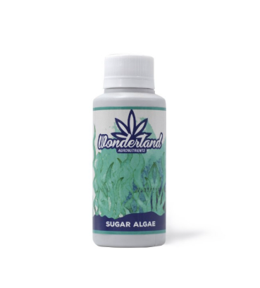 WONDERLAND SUGAR ALGAE 120ml