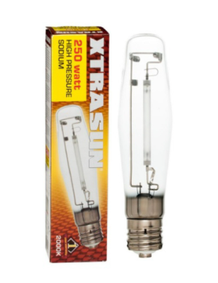 XTRASUN AMPOLLETA SODIO