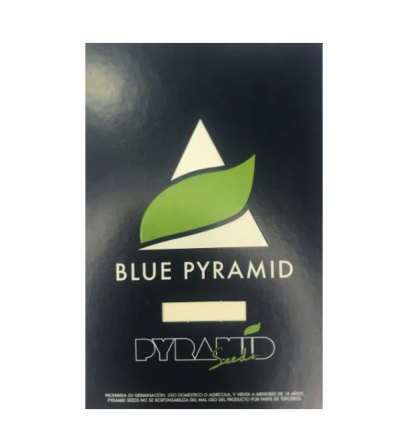 PYRAMID SEEDS BLUE PYRAMID FEM 1unid