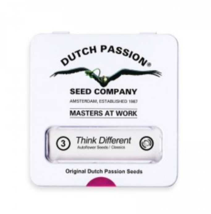 DUTCH PASSION THINK DIFFERENT AUTO 3 unid