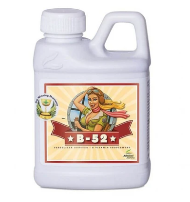 ADVANCED NUTRIENTS B-52 250 ML