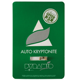 PYRAMID SEEDS AUTO KRYPTONITE 1 unid