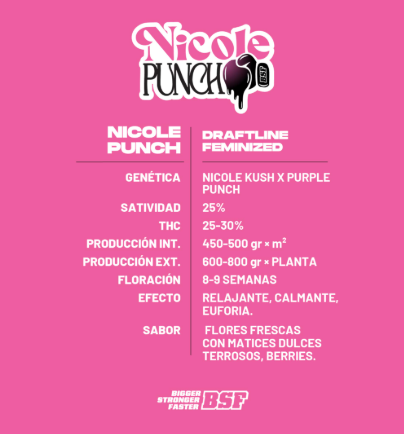 NICOLE PUNCH X4