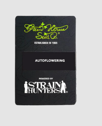 GREEN HOUSE SEEDS KING KUSH FEM 3UN