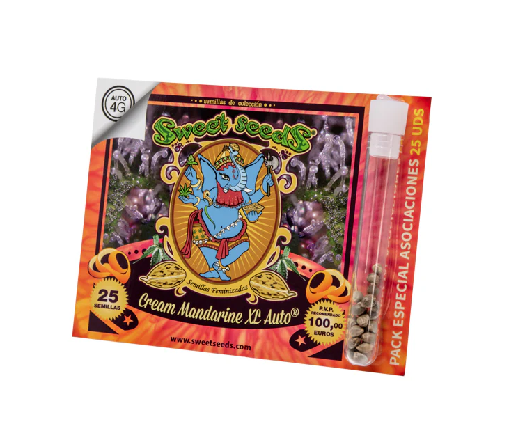 SWEET SEEDS AUTO CREAM MANDARINE XL 100 UN