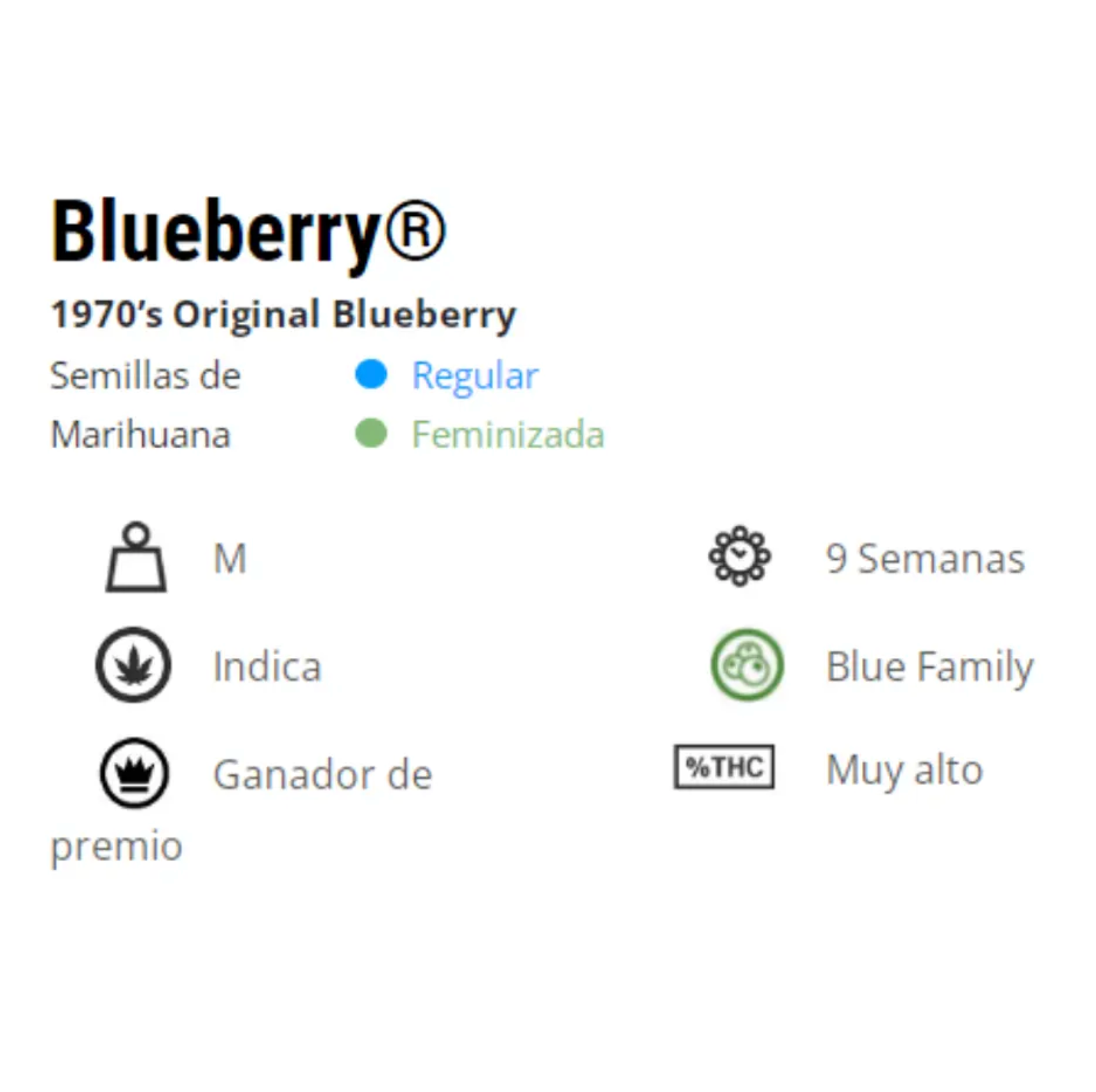 DUTCH PASSION BLUEBERRY 3 UNID