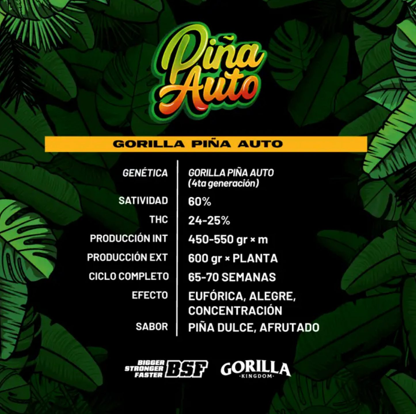 BSF GORILLA PIÑA AUTO 2 UNID