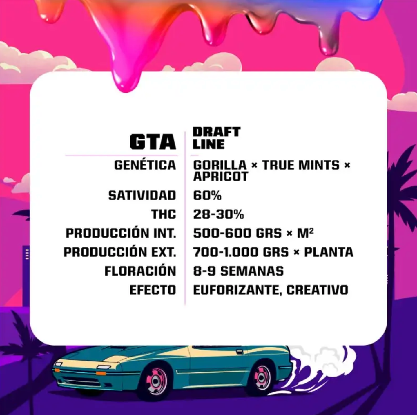 BSF GTA X2