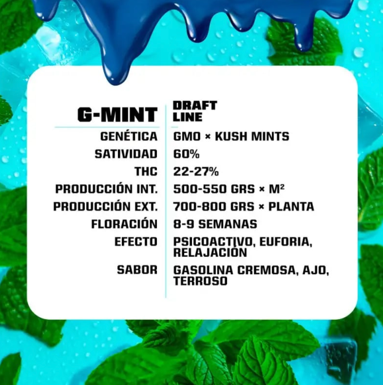 BSF G-MINT X4
