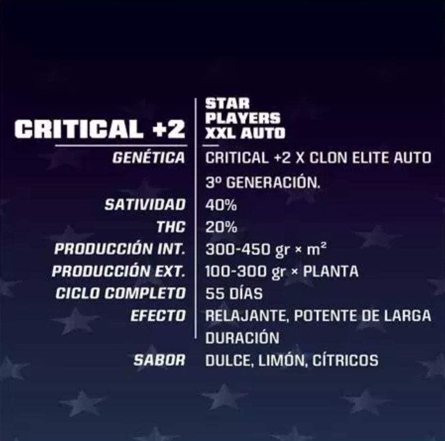 BSF Critical +2 Fem - X12