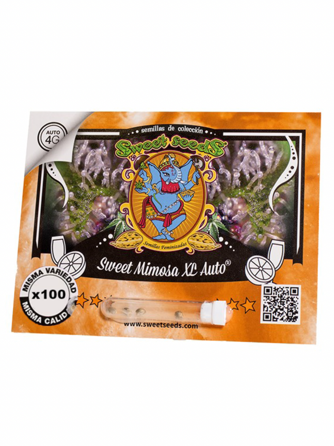 SWEET MIMOSA XL AUTO 100 UN