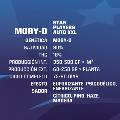 Bsf Seeds Moby-D X4
