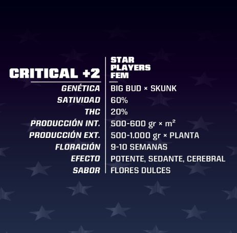 BFS SEEDS CRITICAL +2 FEM X4