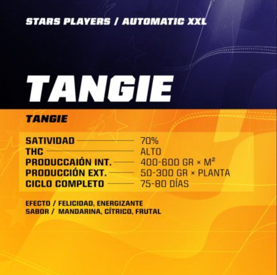 BSF SEEDS TANGIE XXL AUTO 12 UNID