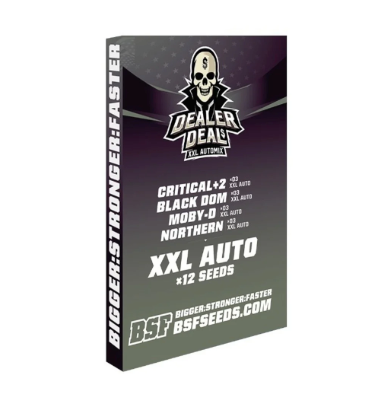 BSF Dealer Deal XXL Automix - X16