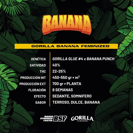 BSF Gorilla Banana GK - X12