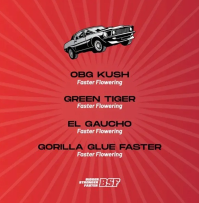 BSF Faster And Furious Faster Mix - X16