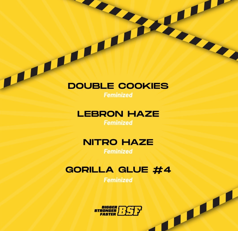 High Voltage Feminized Mix - X16