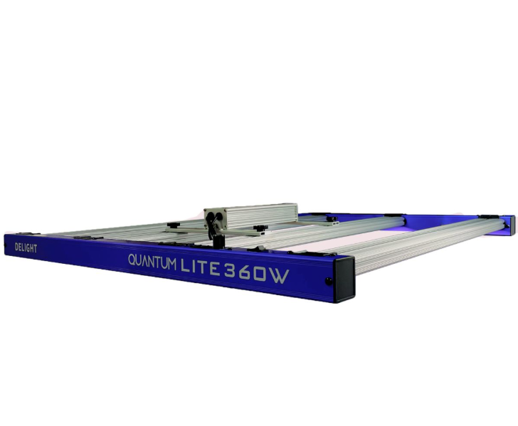 QUANTUM LITE 360W-DELIGHT