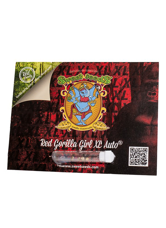 SWEET SEEDS AUTO GORILLA GIRL XL 100 UN