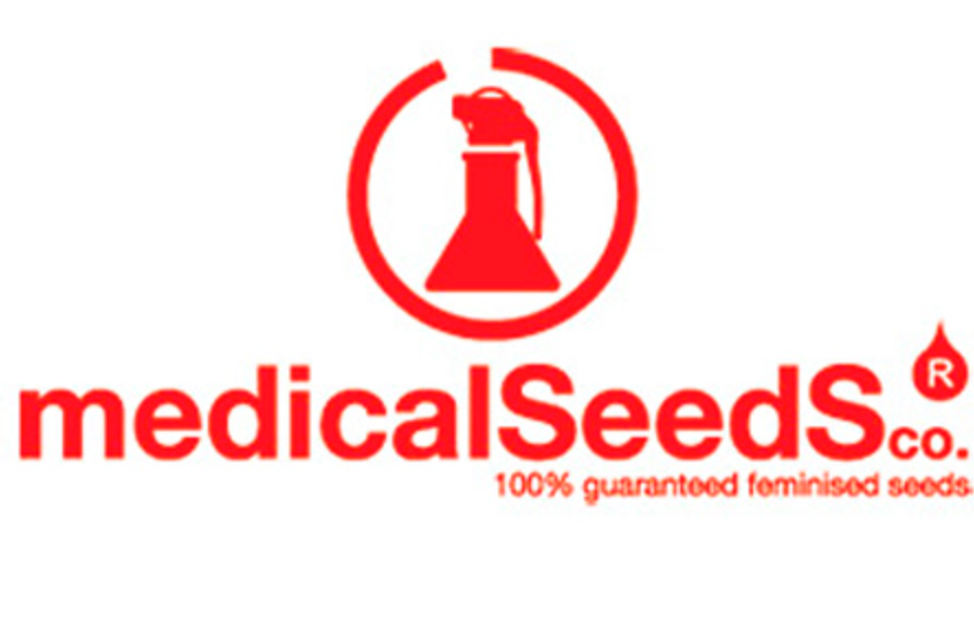 MEDICAL SEEDS DONUTS FEM 3+2 (PROMO)